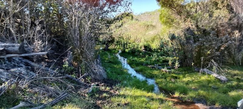 0 Bedroom Property for Sale in Gouritsmond Western Cape